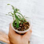 4 Ways to Instil God’s Truths in Our Kids Daily