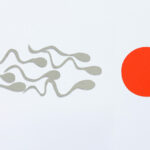 Talking To Your Kids About Sex: Why, When, and How